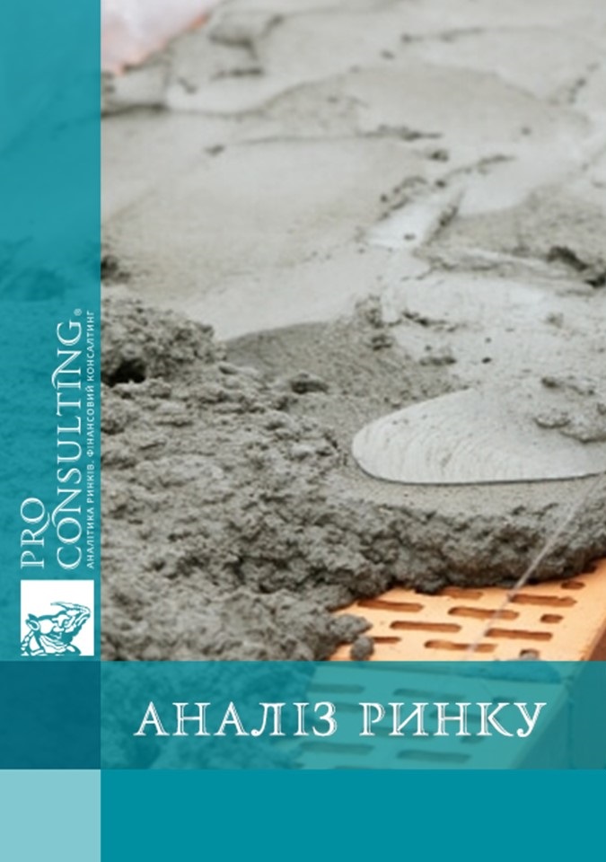 Аналіз ринку будівельних розчинів в Донецькій області. 2019 рік